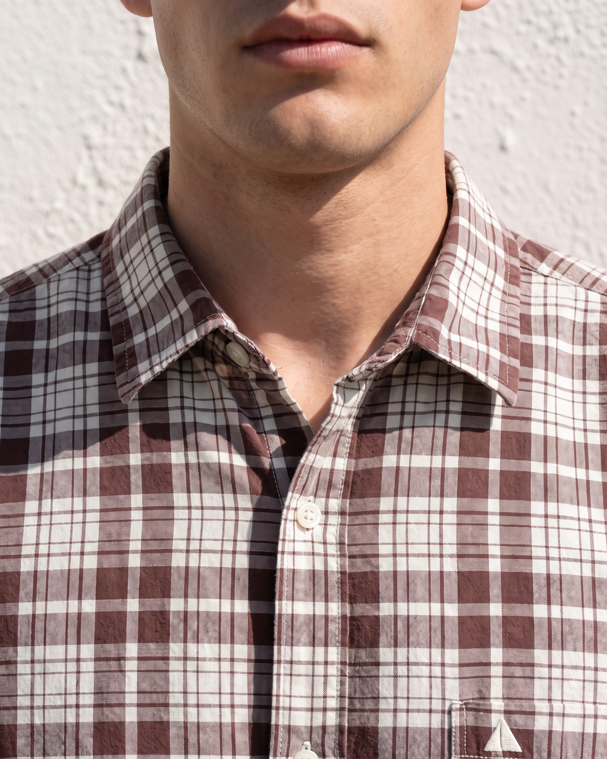 Essential Cotton Check Short Sleeve Shirt – Brown
